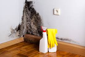 Mold Remediation for Vacation Homes in Oreana, IL